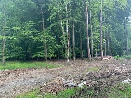 Razširitev Industrijske cone Mele v Gornji Radgoni 2